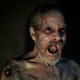 Photo: A24